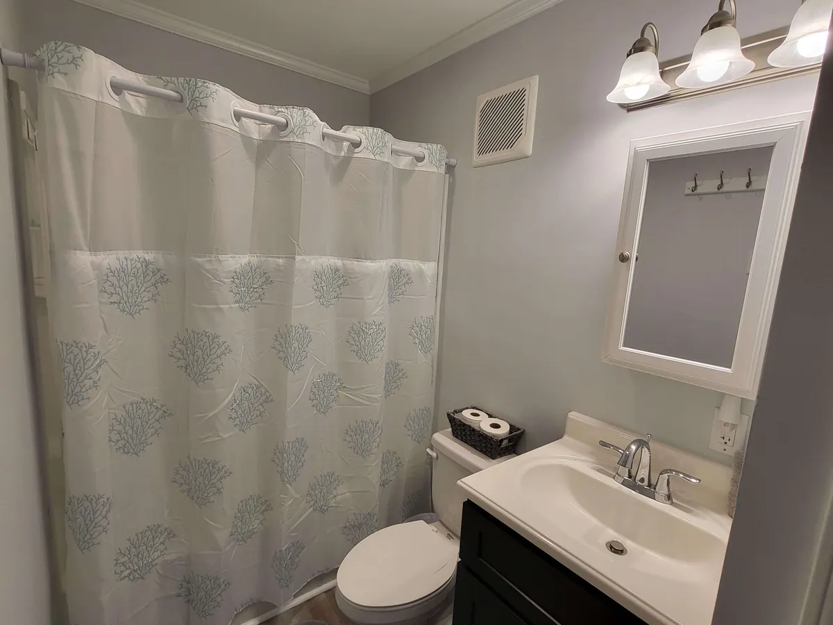 This image features a tranquil bathroom interior, with a shower curtain, vanity mirror, sink, and toilet. The fixtures are modern, and the space is well-lit, giving off a fresh, inviting feeling. The setting suggests a recently updated bathroom designed for comfort and convenience.